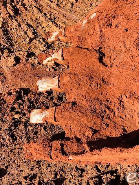 2012 John Deere 250G LC At UsedEquipmentHub.com